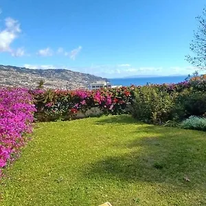 https://belvedere-boutique.madeira-islandshotels.com